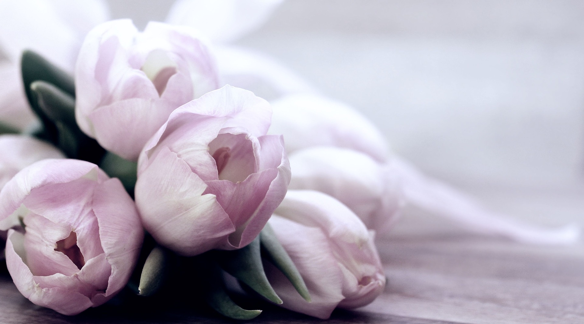 happy-mothers-day-g7f27c8f07_1920 happy-mothers-day-g7f27c8f07_1920